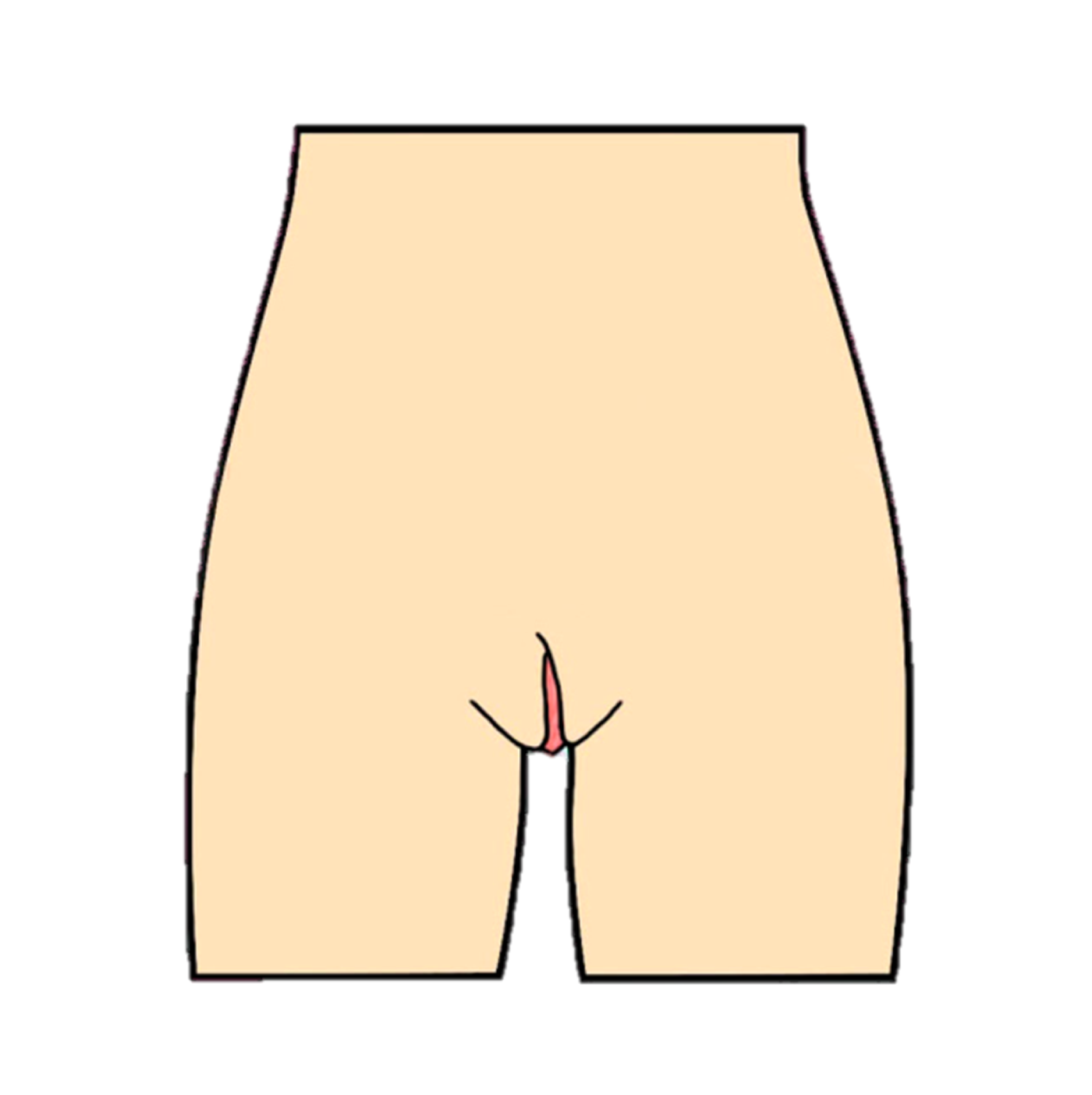 vulva tipo tulipán